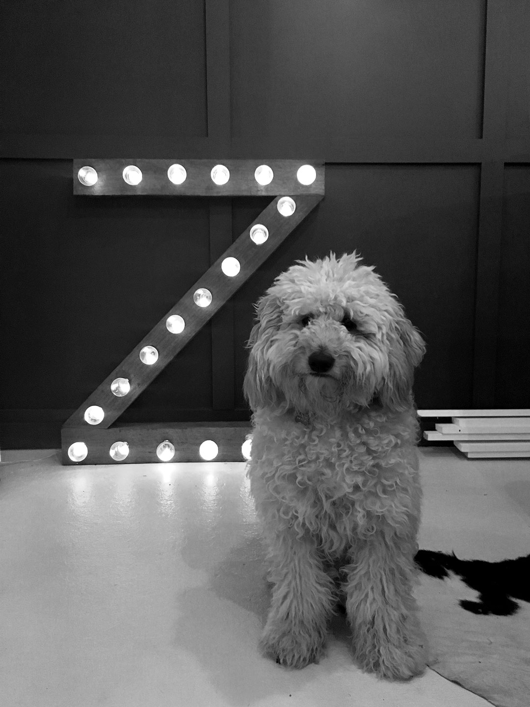ZanWilson_Z_Reuben